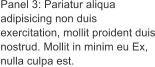 Panel 3: Pariatur aliqua adipisicing non duis exercitation, mollit proident duis nostrud. Mollit in minim eu Ex, nulla culpa est.